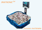 600KG Stainless Steel Industry Platform Weighing Scales with indicator for sea food AC 220V 50Hz